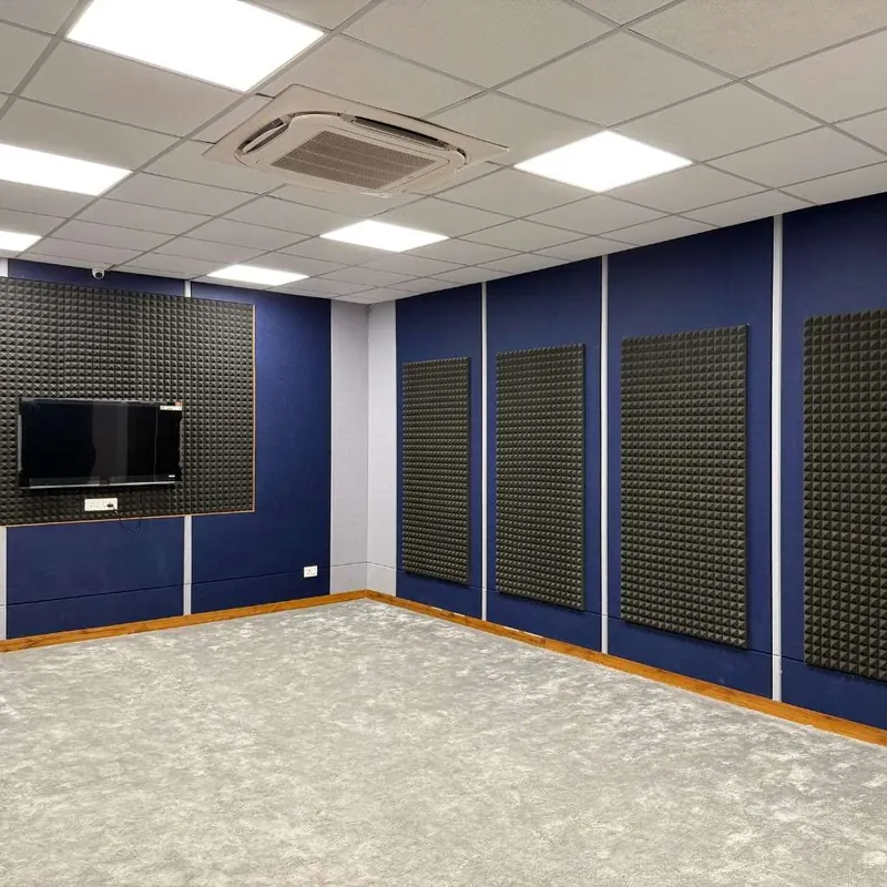 Acoustic Foam — view 2