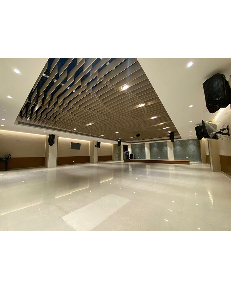 Acoustic Ceiling Baffle